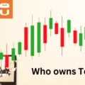 How do I buy Temu stock in 2024/ Who owns Temu?